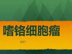 肾上腺嗜铬细胞瘤课件