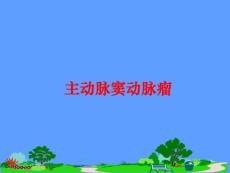 主动脉窦动脉瘤课件