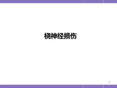 桡神经损伤-课件