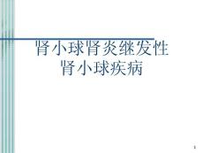 肾小球肾炎继发性肾小球疾病课件