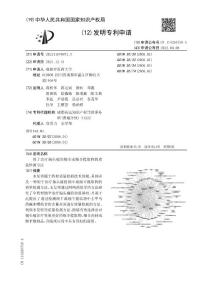 用于治疗偏头痛的细辛或细辛提取物的质量检测方法