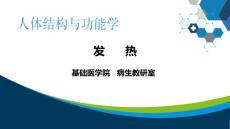 发热-----