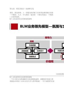 11 领先的执行：氛围和文化