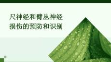 尺神经和臂丛神经损伤的预防和识别