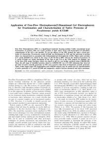 Application of free-flow electrophoresis 2-dimentional gel electrophoresis for fractionation and characterization of native proteome of Pseudomonas putida KT2440