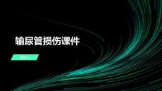 输尿管损伤课件