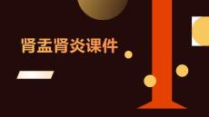 肾盂肾炎课件