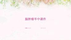 脑肿瘤卒中课件