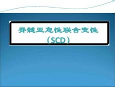 脊髓亚急性联合变性课件