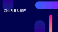 新生儿肺炎超声