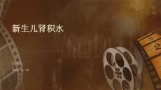 新生儿肾积水ppt