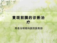 黄斑前膜的诊断治疗课件