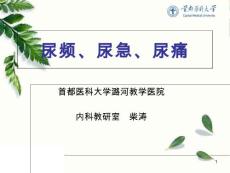 尿频、尿急、尿痛课件