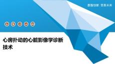 心房扑动的心脏影像学诊断技术