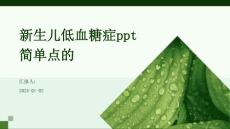 新生儿低血糖症ppt简单点的