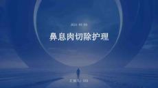 鼻息肉切除护理ppt