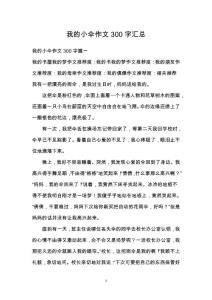 我的小傘作文300字匯總