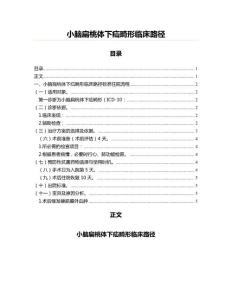 小脑扁桃体下疝畸形临床路径(医学论文资料)
