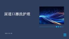 尿道口擦洗护理ppt