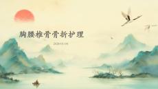 胸腰椎骨骨折护理ppt