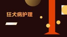 狂犬病护理
