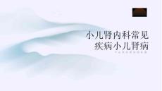 小儿肾内科常见疾病小儿肾病