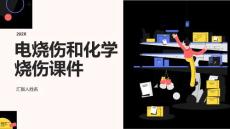 电烧伤和化学烧伤课件
