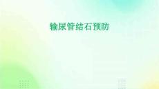 输尿管结石预防