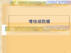 嗜铬细胞瘤ppt课件