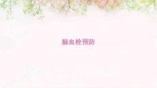 脑血栓预防