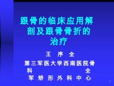 跟骨骨折-课件