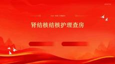 肾结核结核护理查房PPT