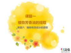 生物-人教版-選修1-課件7：6.1 植物芳香油的提取.pptx-同課異構(gòu)課件-課題1 植物芳香油的提取-專題6 植物有效成分的提取-課件