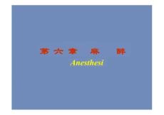 麻醉医学：局部麻醉