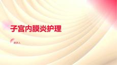 子宫内膜炎护理