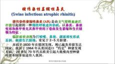 猪传染性萎缩性鼻炎李俊霞.ppt