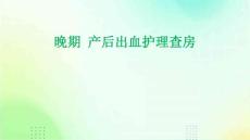 晚期 产后出血护理查房