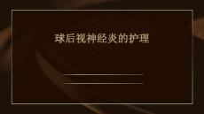 球后视神经炎的护理ppt