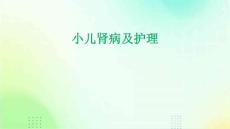 小儿肾病及护理ppt