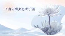 子宫内膜炎患者护理ppt