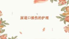 尿道口损伤的护理ppt
