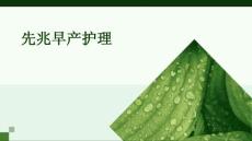 先兆早产护理ppt
