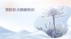 预防狂犬病病知识