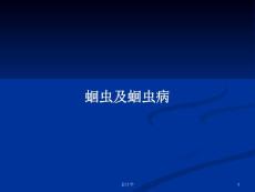 蛔虫及蛔虫病教案ppt课件