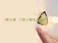 节肢动物性皮肤病课件