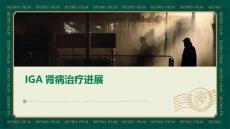 iga肾病治疗进展