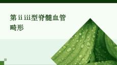 第ⅡⅢ型脊髓血管畸形