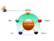 风湿性心脏病年月课件