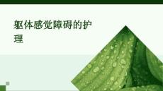 躯体感觉障碍的护理PPT