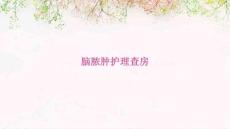 脑脓肿护理查房ppt